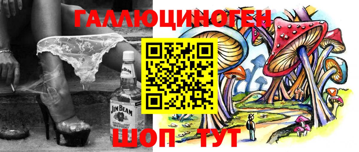 Псилоцибиновые грибы Psilocybine cubensis Владивосток
