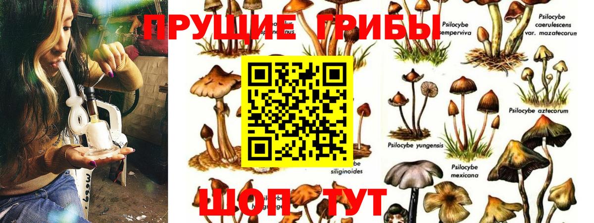 Галлюциногенные грибы ЛСД  Вход с VPN  Владивосток 